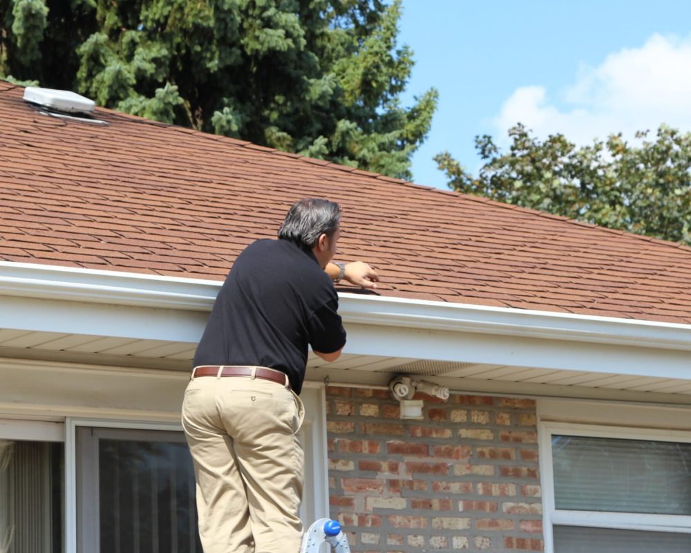 imgi_117_Inspection-pic-22